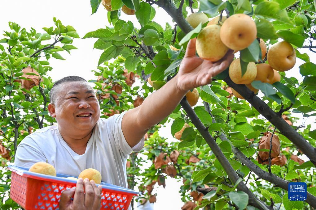 bbin放水